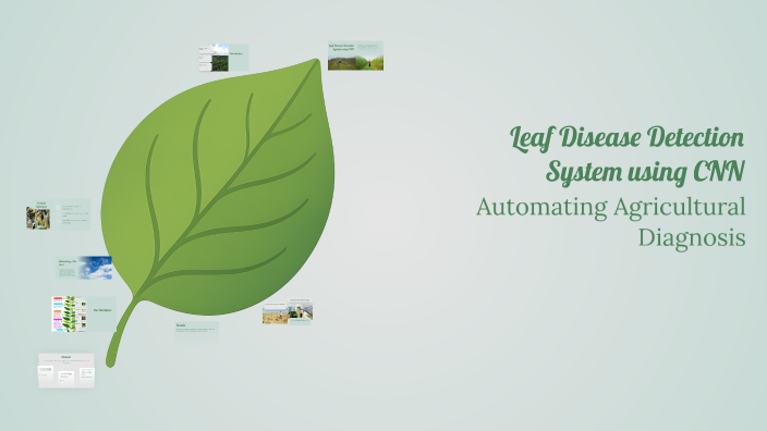 Leaf Disease Detection System using CNN by Sʀɪɴᴊᴏʏ Sᴀᴍᴀɴᴛᴀ on Prezi
