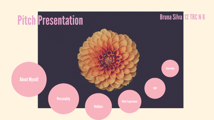 Pitch presentation by Bruna Silva on Prezi