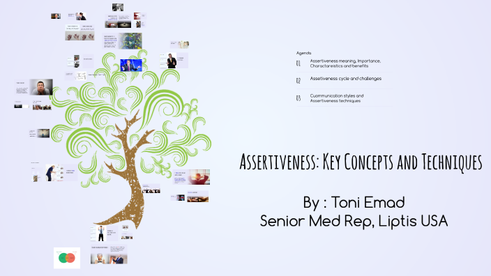Understanding Assertiveness: Key Concepts and Techniques by Antonious ...