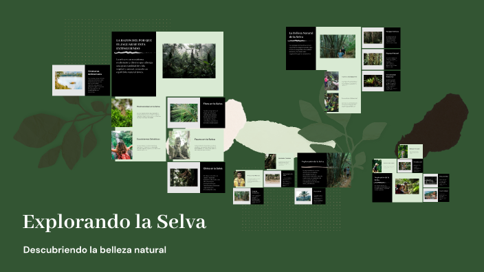 Explorando la Selva by Johan Sebastián Peña rincon on Prezi
