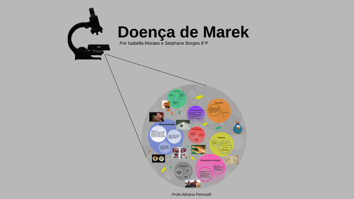 Doença de Marek by Isabella Morais on Prezi