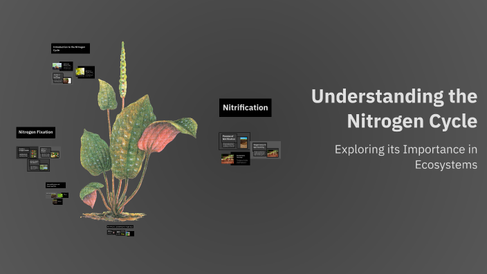 Understanding the Nitrogen Cycle by Christopher Wallace on Prezi