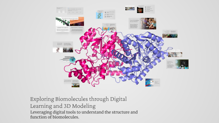 Exploring Biomolecules through Digital Learning and 3D Modeling by ELEN ...