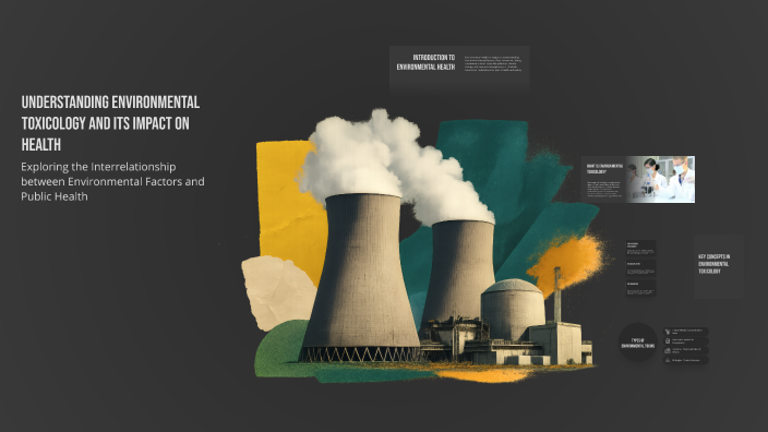 Understanding Environmental Toxicology and Its Impact on Health by ...