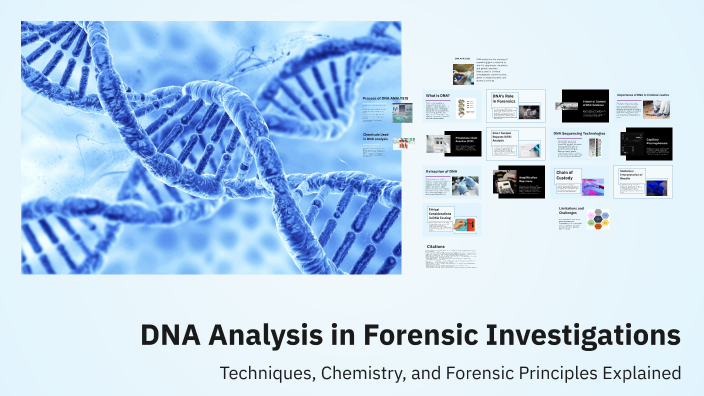 DNA Analysis - Hannah Shockley by Hannah Shockley on Prezi