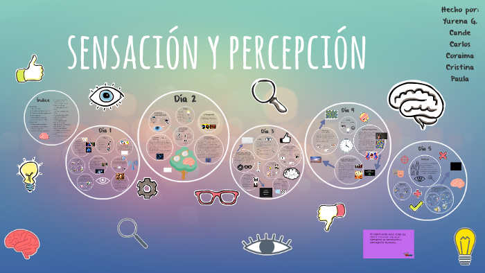 Sensación Y Percepción Psicología By Paula Rodríguez On Prezi