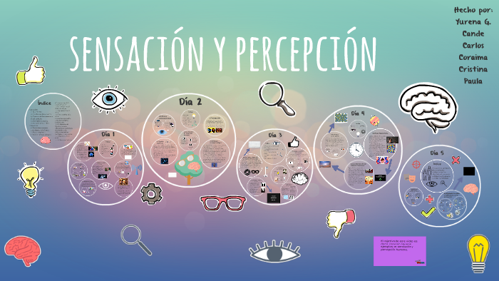 Sensación Y Percepción Psicología By Paula Rodríguez On Prezi 4043