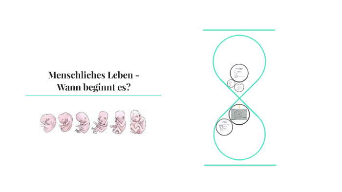 Menschliches Leben Wann Beginnt Es By Gabrijela Zaja