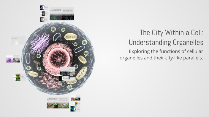 The City Within a Cell: Understanding Organelles by Dat Le on Prezi