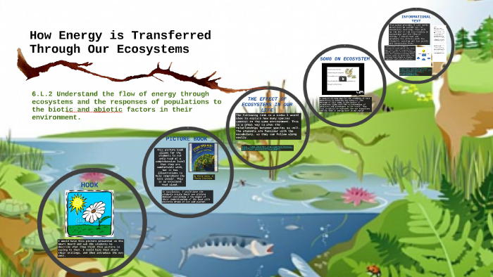 How Is Energy Transferred Through An Ecosystem And How Do Microbes Assist This Transfer