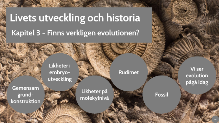 livets-utveckling-och-historia-kapitel-3-by-moa-hammarberg-on-prezi