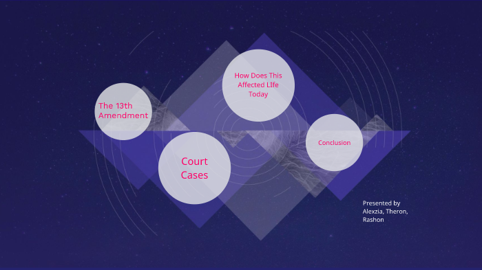 13th amendment hotsell court cases