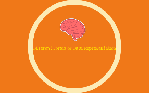 data representation project management