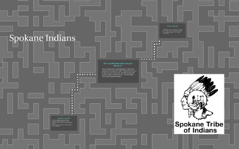 WHY WERE RESERVATIONS CREATED visual data 3