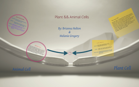 Plant And Animal Cell by Briana Helton on Prezi