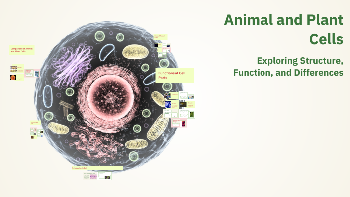 Animal and Plant Cells by claire marie on Prezi