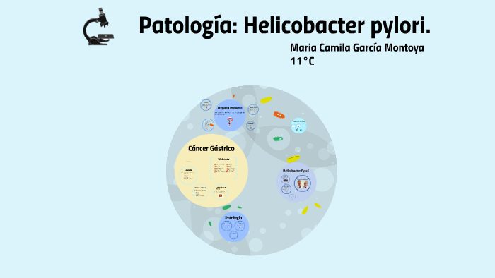 Patología Helicobacter pylori by Maria Camila Garcia