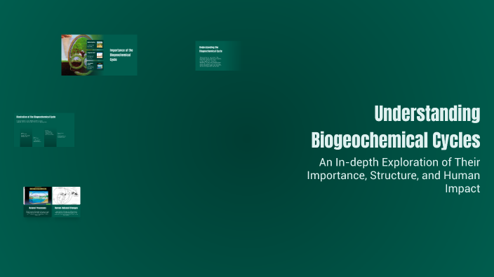 Understanding Biogeochemical Cycles by JamiePVP on Prezi
