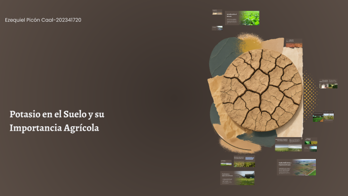 Potasio en el Suelo y su Importancia Agrícola by Ezequiel Picon on Prezi