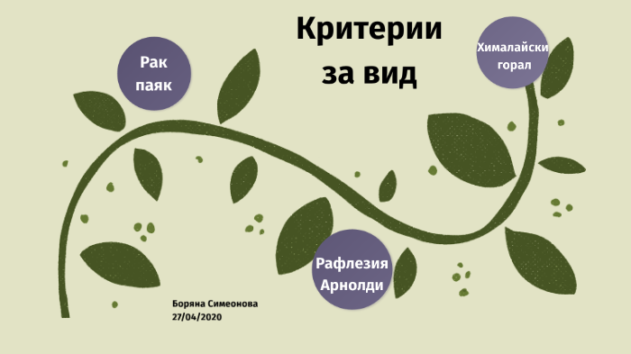 Критерии за вид by Боряна Симеонова on Prezi