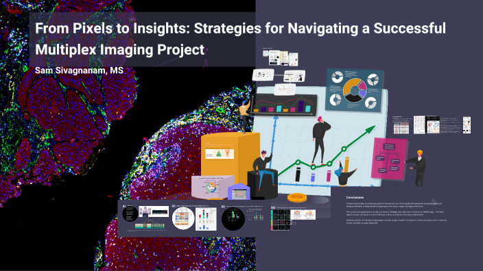 Pixels to Insight by Sam Sivagnanam on Prezi