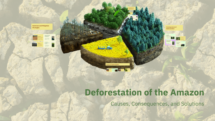 Deforestation of the Amazon by Seth Wolf on Prezi
