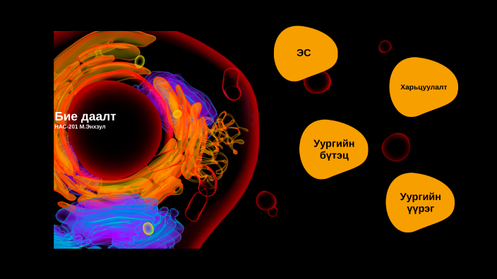 эукариот болон прокариот эс by Enkhzul Munkhtsooj on Prezi