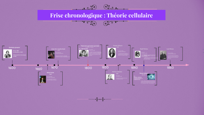 frise-chronologique-th-orie-cellulaire-bennani-camelia-by-cam-lia