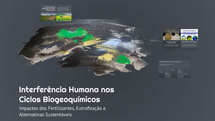 Interferência Humana nos Ciclos Biogeoquímicos by Pedro Henrique on Prezi