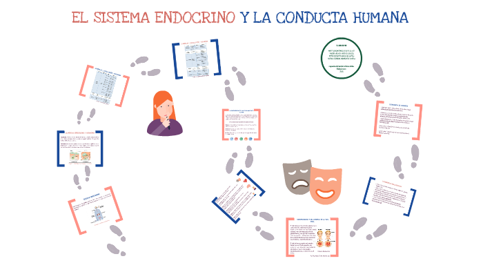 EL SISTEMA ENDOCRINO Y LA CONDUCTA HUMANA by Valerie Grisales on Prezi