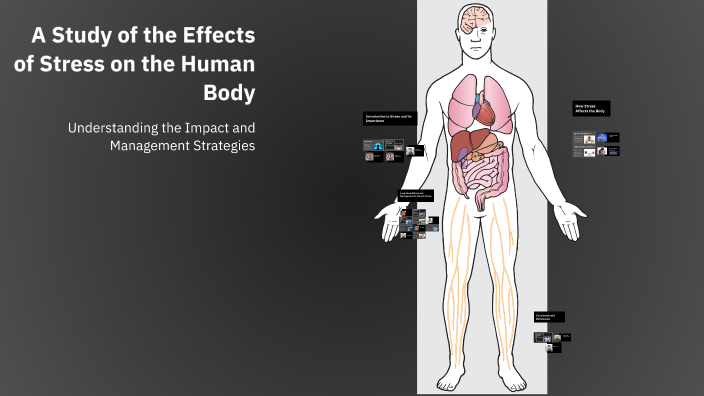 A Study of the Effects of Stress on the Human Body by afsana begum on Prezi