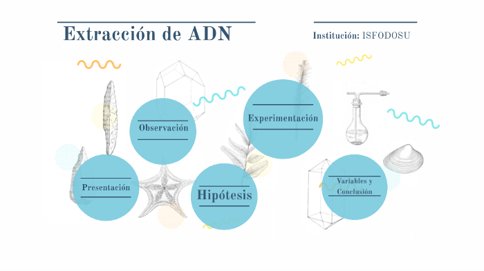 Extracción del ADN by Griselda Suárez on Prezi