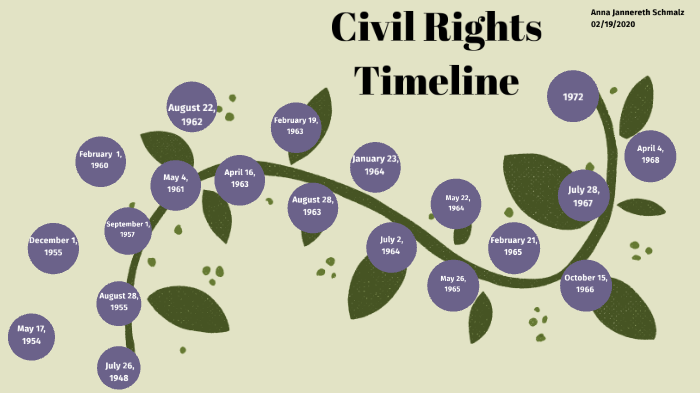 Civil Rights Movement Timeline By Anna Js On Prezi Next