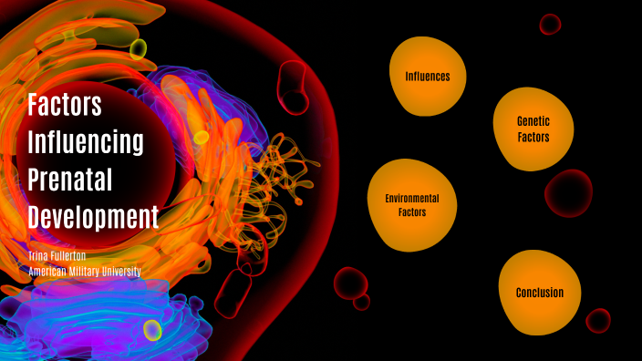 factors-influencing-prenatal-development-fullerton-by-trina-fullerton