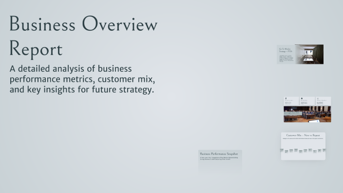 Business Overview Report by Divya Jain on Prezi