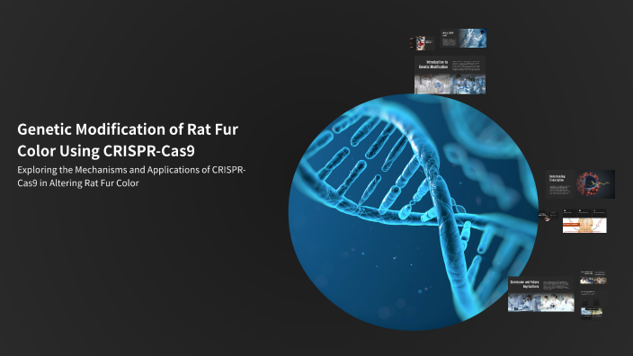 Genetic Modification of Rat Fur Color Using CRISPR-Cas9 by liam G on Prezi
