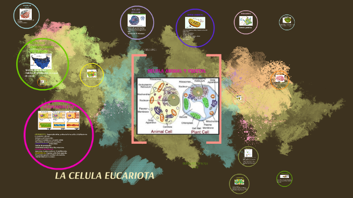 La Celula by Veronica Enriquez on Prezi