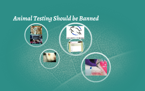 animal testing should be banned essay