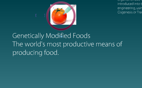 genetically modified foods essay