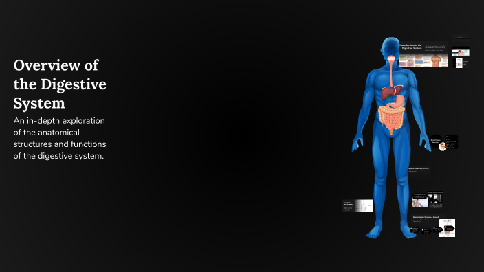 Overview of the Digestive System by hanar taha on Prezi