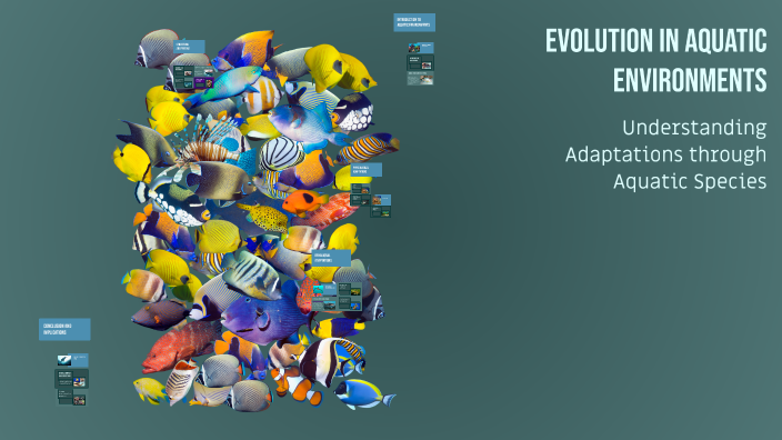 Evolution in Aquatic Environments by maya8240 maya8240 on Prezi