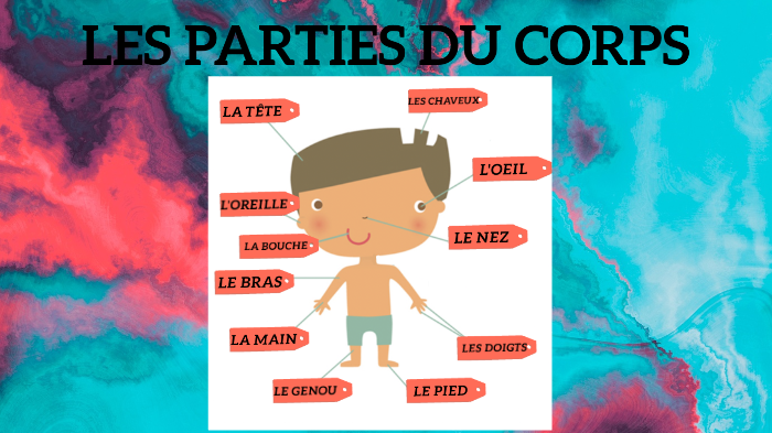 les parties du corps by Sarah Vanni