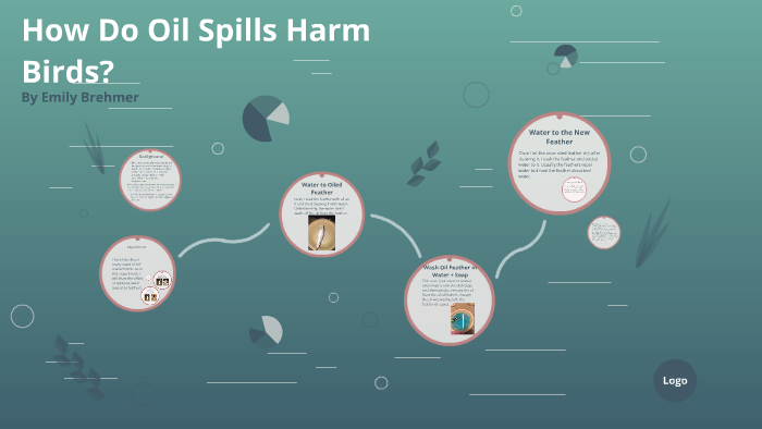 How Do Oil Spills Harm Wildlife By Emily Brehmer