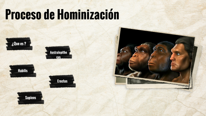 hominización by Belen Diaz on Prezi