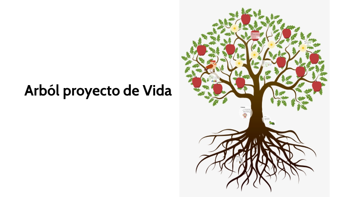 Arbol Proyecto De Vida By Yair Cuya Reyes On Prezi 6917