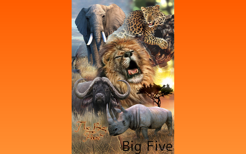 Big Five Game by Regitze Kjeldal on Prezi