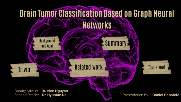 Brain Tumor Classification Based on Graph Neural Networks by Daniel ...