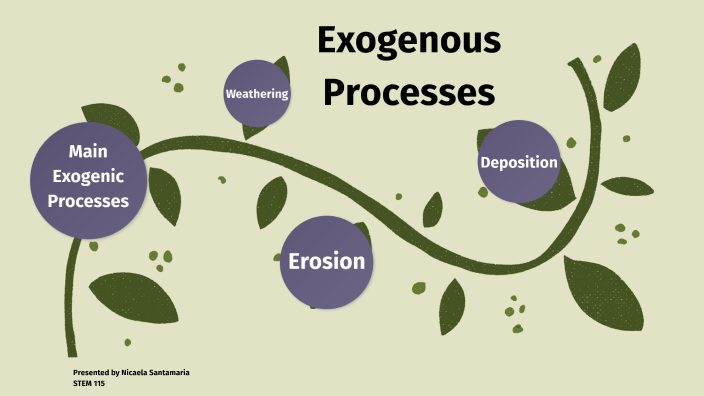 Exogenous Processes Earth Science by Nicaela Santamaria on Prezi