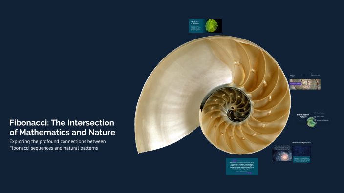 Fibonacci: The Intersection of Mathematics and Nature by elisabetta ...