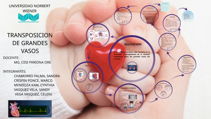 TRANSPOSICION DE GRANDES VASOSPOSICION by cynthia mendoza on Prezi